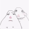 Hamster 15