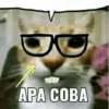 Meme kucing viral 13