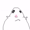 Hamster 14