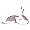 Kucing imut #5 18