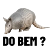 CARNAVAL 2026 11