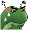 Frog 21