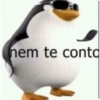 Pinguim donald 7