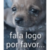 Oi posso falar todas as versoe 20