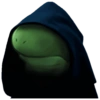 Frog 27