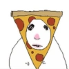 Hamster 11