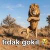 Singa gokil meme 😹 11