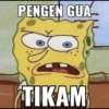 Bikini bottom meme 13