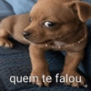 Oi posso falar todas as versoe 14