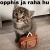 Moj masti  24