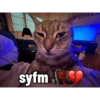Sybau twin 3