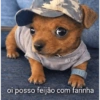 Oi posso falar todas as versoe 9