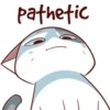 Kucing imut #5 17