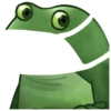Frog 24