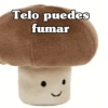 🧿Memes Dorga2 Pinguinil🐧🐧🍄 6