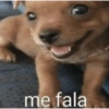 Oi posso falar todas as versoe 11