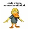 Memes brasil 15