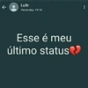 Memes brasil 27