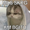 Cat meme  10