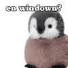 🧿Memes Dorga2 Pinguinil🐧🐧🍄 9
