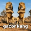 Singa gokil meme 😹 13