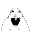 Hamster 8