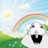 Hamster 12