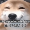 Feliz AMOR 11