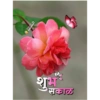 Good morning 10