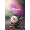 Good morning 18