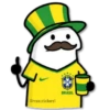 Brasil Flork🇧🇷⚽ 15