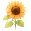 Flores Amarillas 🌻🌻 9