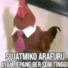 Stiker ayam meme 7