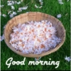 Good morning 13
