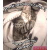Para ligar bonito 26