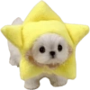 Stickers #24 26