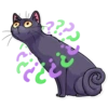 Black Cat 7