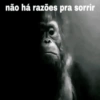 Memes que você precisa  6