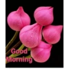 Good morning 12