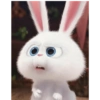 Snowball rabbit 7