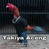 Stiker ayam meme 9