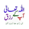 Islamic 19