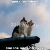 Para ligar bonito 27