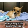 Chisme 30