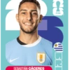 🧿 Laminas Seleccion Uruguay🇺🇾 9