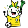 Brasil Flork🇧🇷⚽ 14