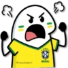 Brasil Flork🇧🇷⚽ 11