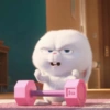 Snowball rabbit 12