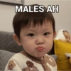BOCIL KOREA MARAH 5