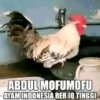 Stiker ayam meme 8